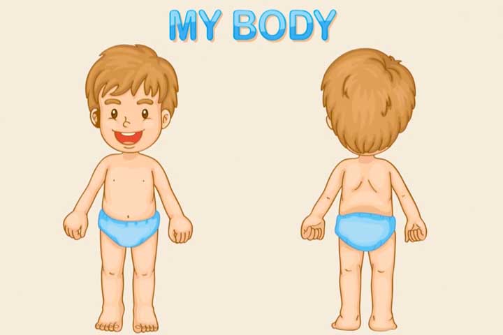 Your Kiddo Can Now Identify Body Parts Better